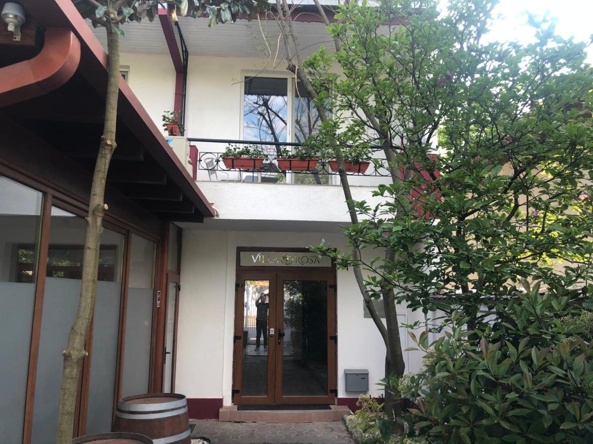 Villa Rosa Timisoara Luaran gambar